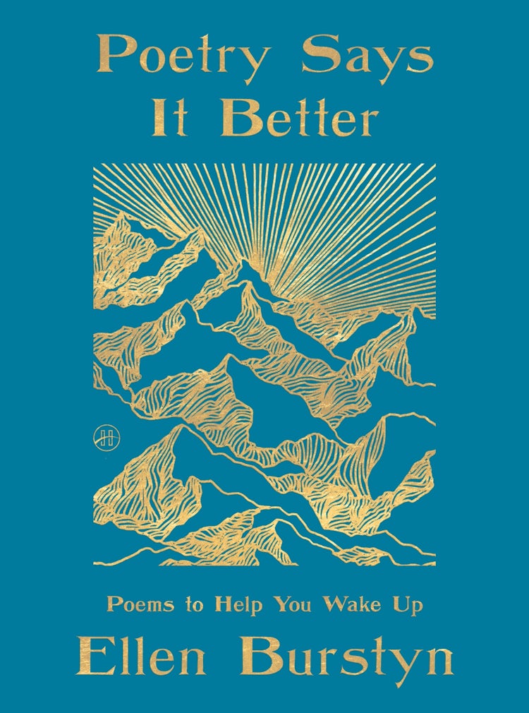 Cover image for Poetry Says It Better, isbn: 9780063387690