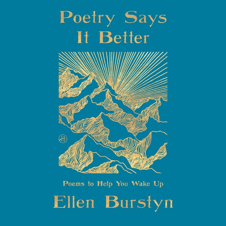 Cover image for Poetry Says It Better, isbn: 9780063387706