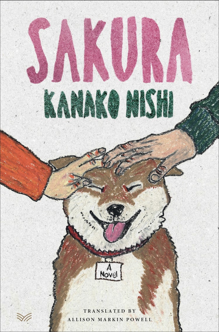 Cover image for Sakura, isbn: 9780063389946