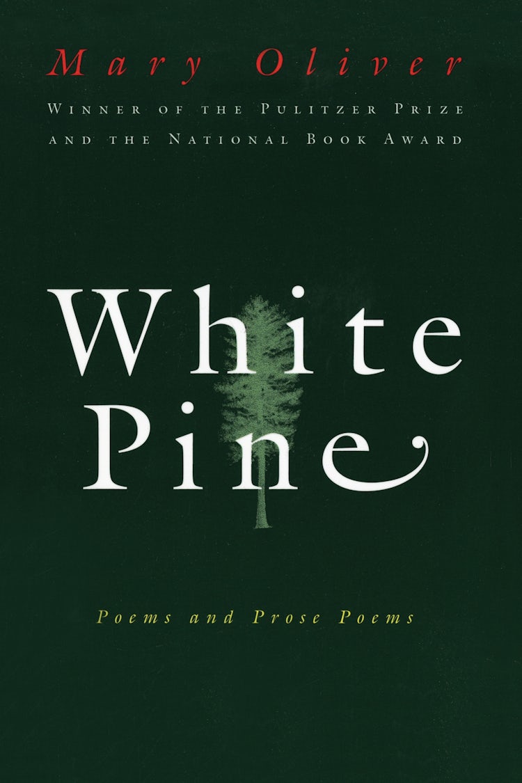 Cover image for White Pine, isbn: 9780063393219