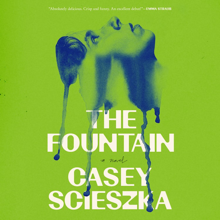 Cover image for The Fountain, isbn: 9780063393424