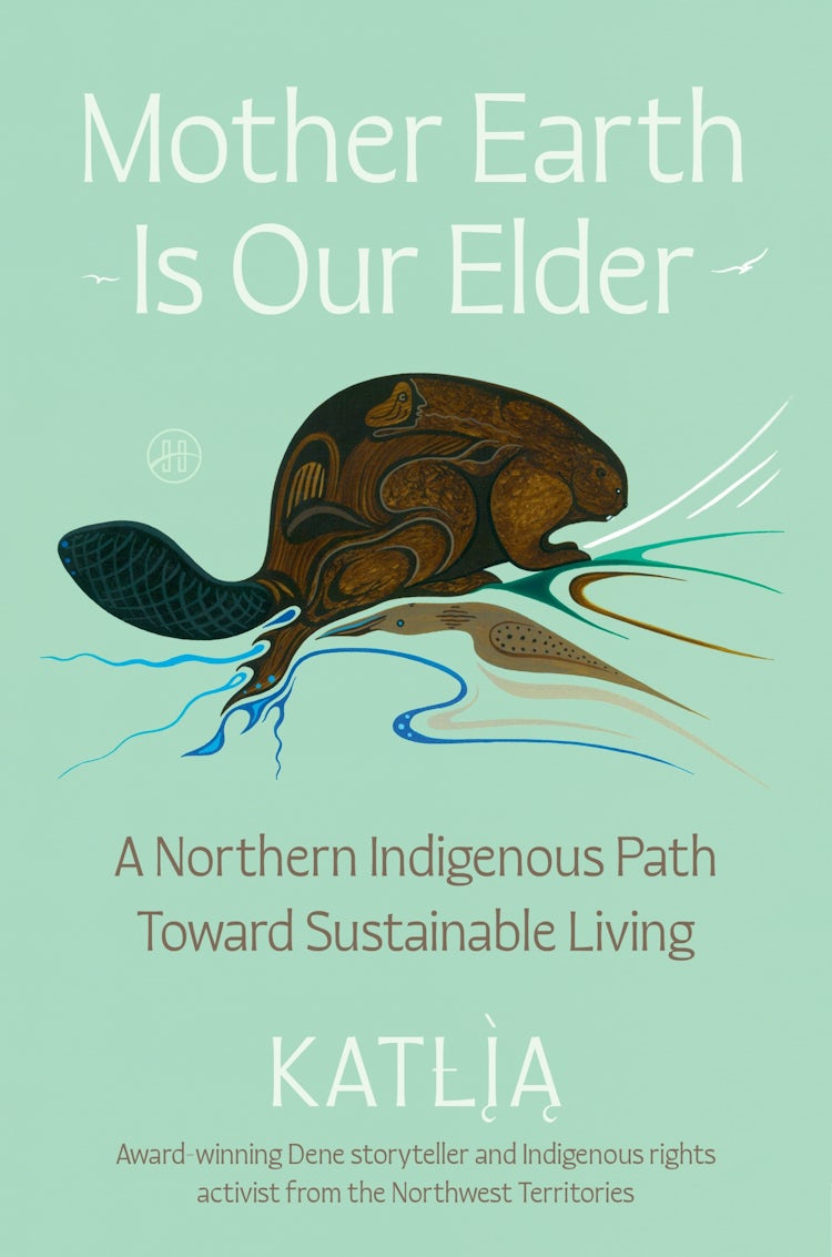 Cover image for Mother Earth Is Our Elder, isbn: 9780063397149