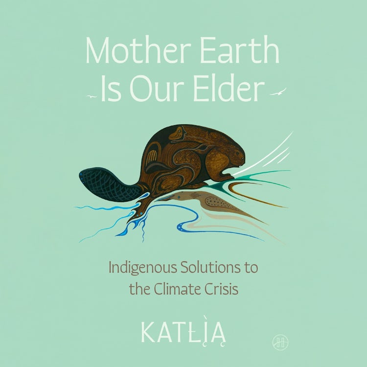 Cover image for Mother Earth Is Our Elder, isbn: 9780063397156