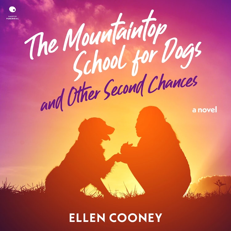 Cover image for The Mountaintop School for Dogs and Other Second Chances, isbn: 9780063399143