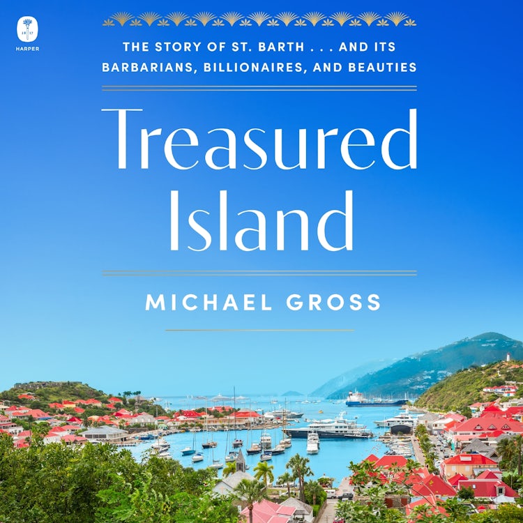 Cover image for Treasured Island, isbn: 9780063410992