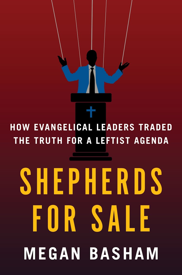 Cover image for Shepherds for Sale, isbn: 9780063413450