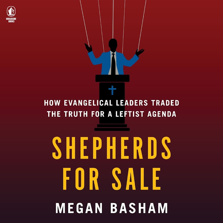 Cover image for Shepherds for Sale, isbn: 9780063413467
