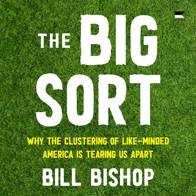 Cover image for The Big Sort, isbn: 9780063414945
