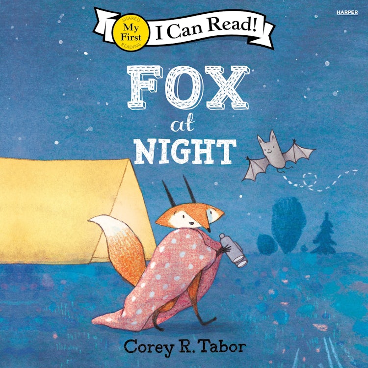 Cover image for Fox at Night, isbn: 9780063416086