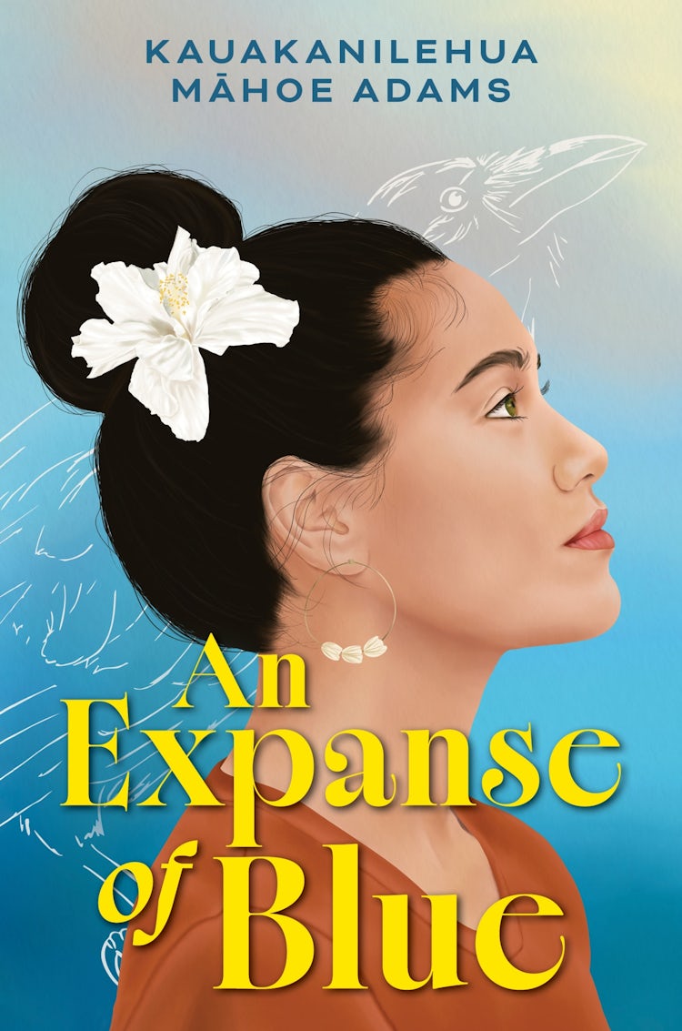 Cover image for An Expanse of Blue, isbn: 9780063417977