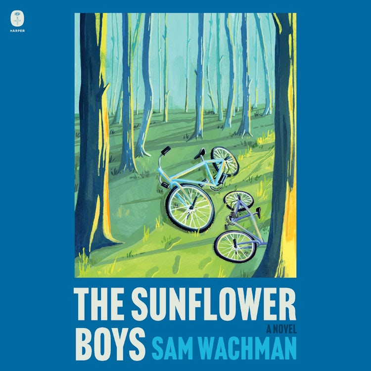 Cover image for The Sunflower Boys, isbn: 9780063418240