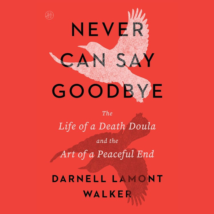 Cover image for Never Can Say Goodbye, isbn: 9780063421844