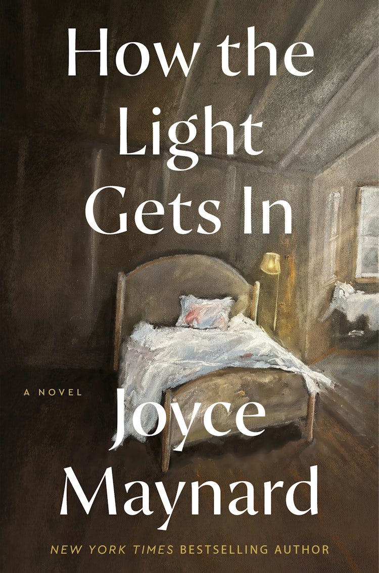 Cover image for How The Light Gets In: A Novel, isbn: 9780063422698