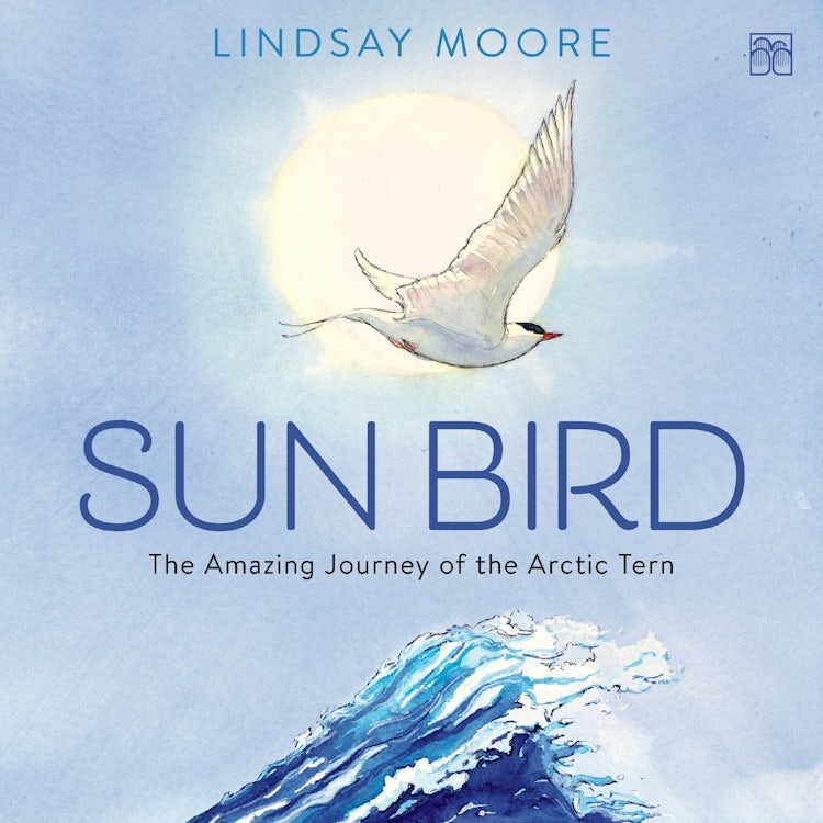 Cover image for Sun Bird, isbn: 9780063428539