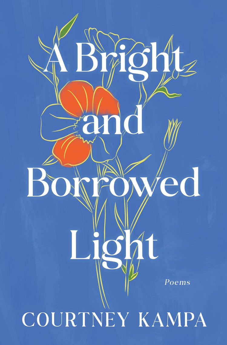 Cover image for A Bright and Borrowed Light, isbn: 9780063429475