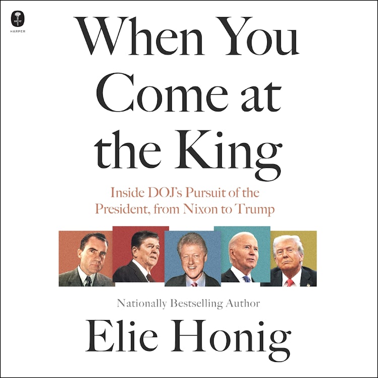 Cover image for When You Come at the King, isbn: 9780063447332
