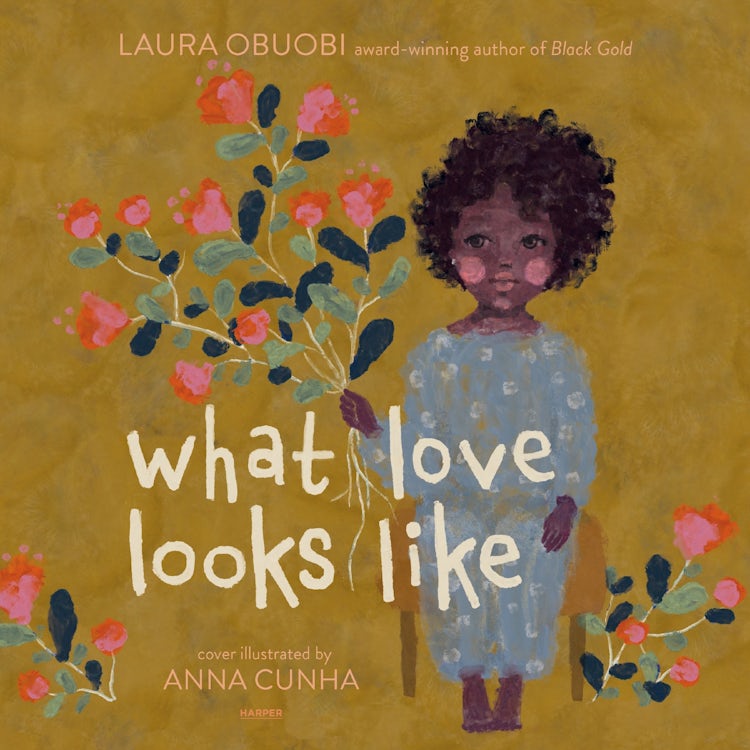 Cover image for What Love Looks Like, isbn: 9780063449152