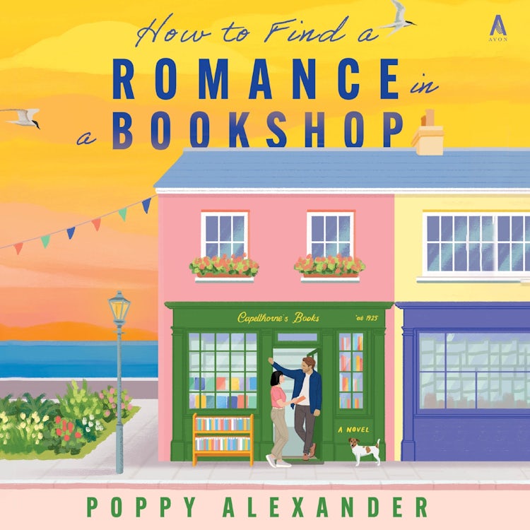 Cover image for How to Find a Romance in a Bookshop, isbn: 9780063463417