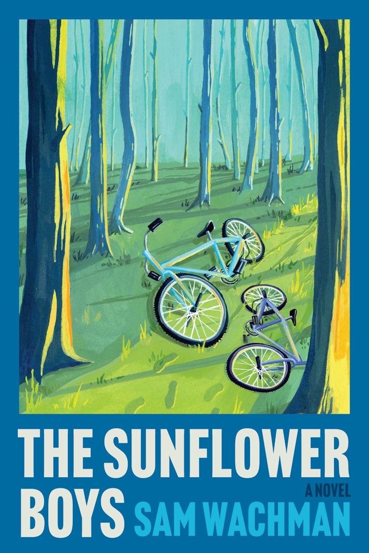 Cover image for The Sunflower Boys: A Novel, isbn: 9780063476714
