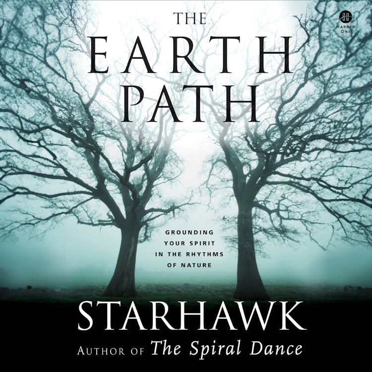Cover image for The Earth Path, isbn: 9780063482685