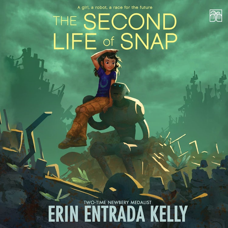 Cover image for The Second Life of Snap, isbn: 9780063485983
