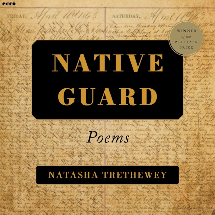 Cover image for Native Guard, isbn: 9780063496132