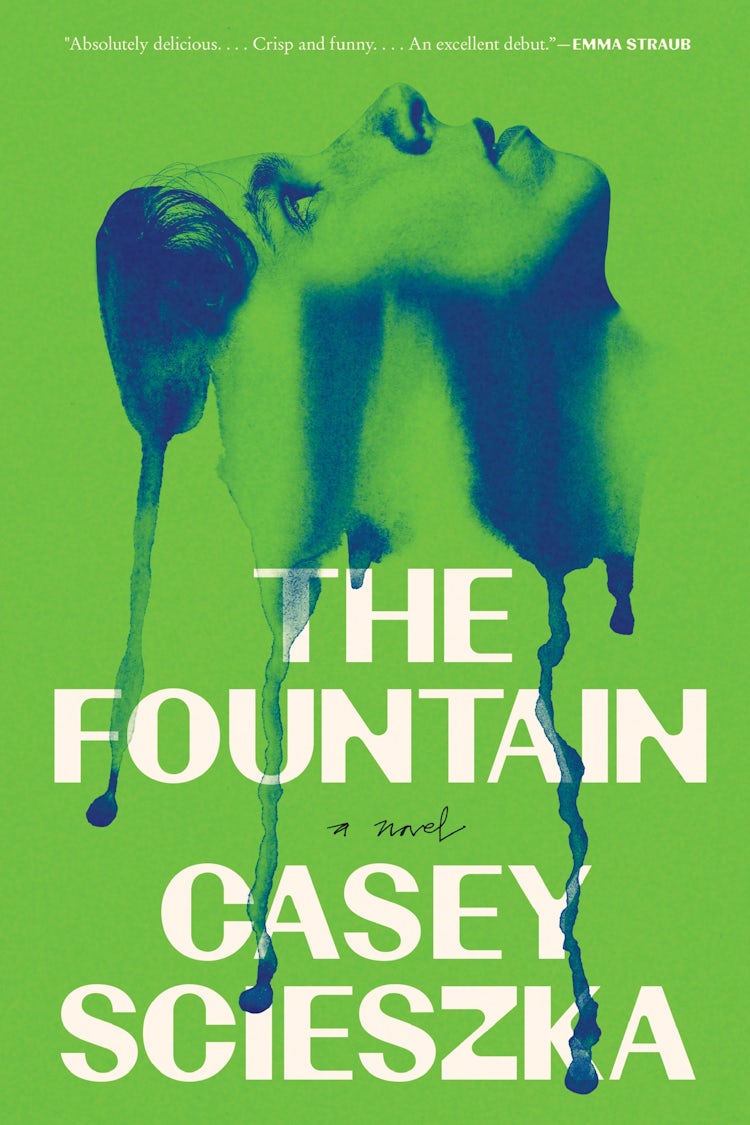 Cover image for The Fountain: A Novel, isbn: 9780063514201