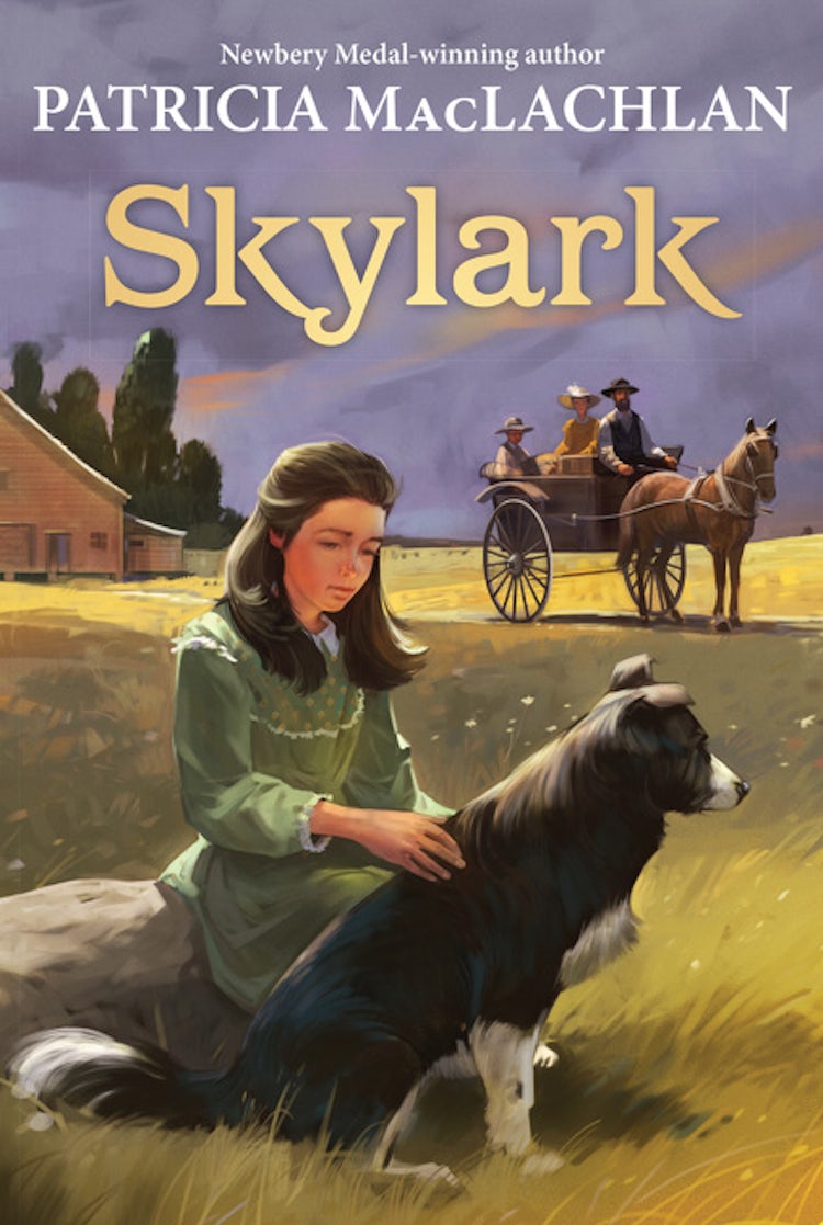 Cover image for Skylark, isbn: 9780064406222