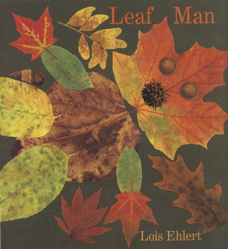 Cover image for Leaf Man, isbn: 9780152053048