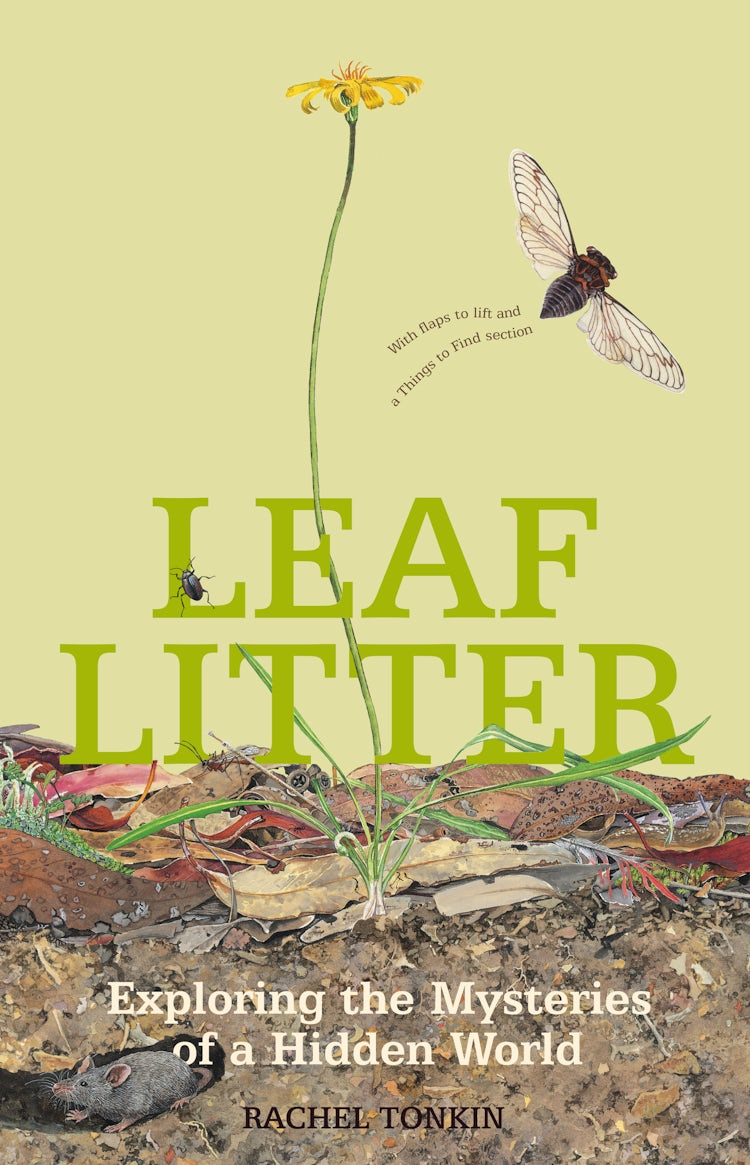 Cover image for Leaf Litter, isbn: 9780207198441
