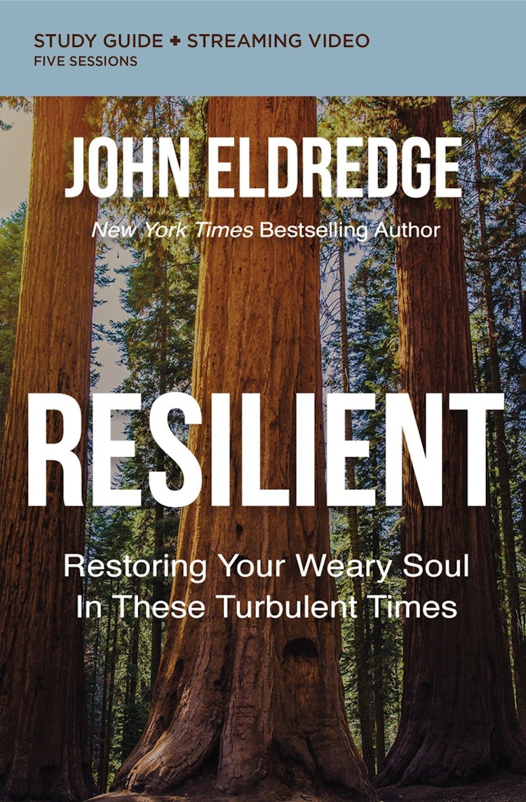 Cover image for Resilient Study Guide plus Streaming Video: Restoring Your Weary Soul in These Turbulent Times, isbn: 9780310097044