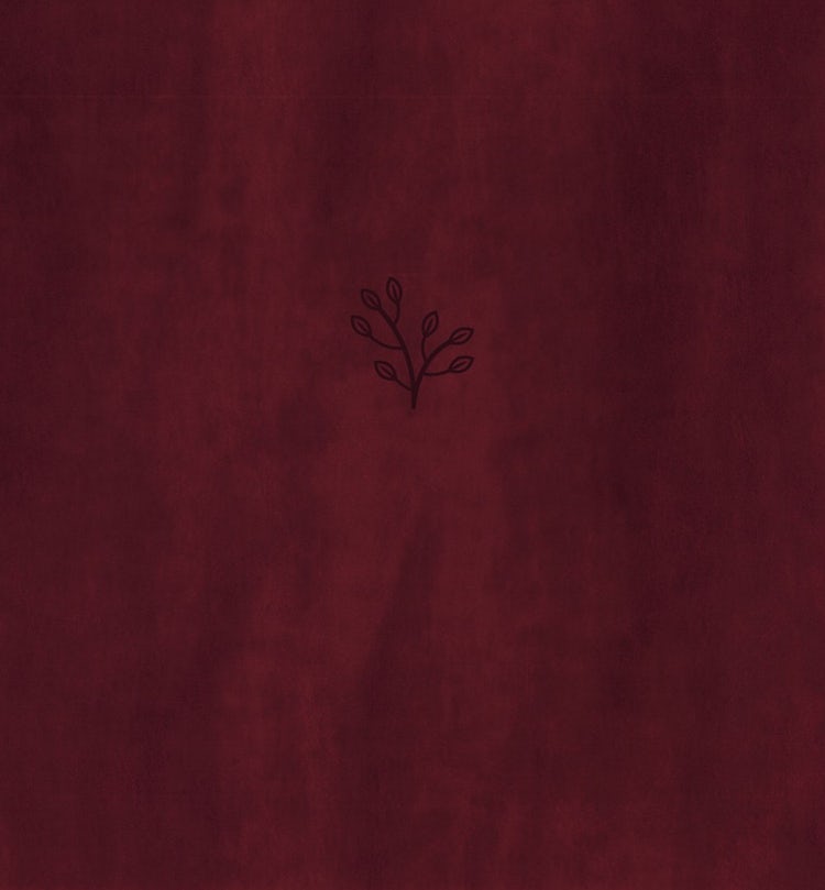 Cover image for Amplified Holy Bible, XL Edition [Burgundy], isbn: 9780310109433