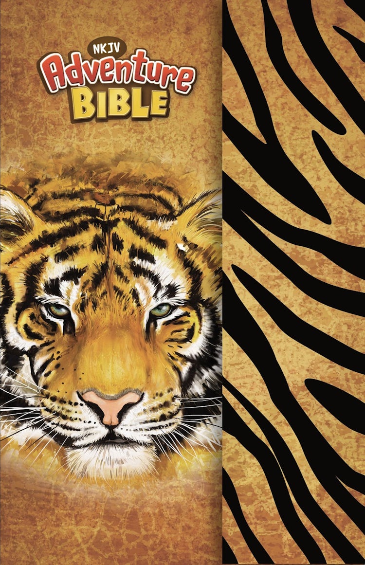 Cover image for NKJV Adventure Bible, Full Color, Magnetic Closure, isbn: 9780310109457