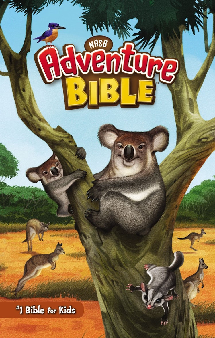 Cover image for NASB Adventure Bible, Hardcover, Full Color Interior, Red Letter, 1995 Text, Comfort Print, isbn: 9780310112709