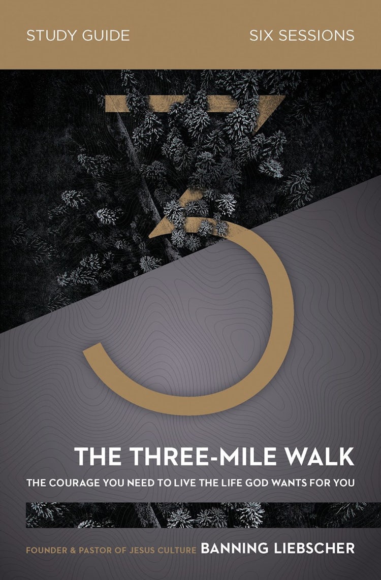 Cover image for The Three-Mile Walk Study Guide: The Courage You Need To Live The Life God Wants For You, isbn: 9780310120551