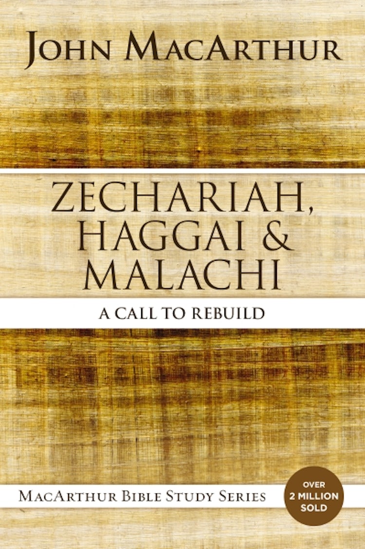 Cover image for Zechariah, Haggai & Malachi: A Call to Rebuild, isbn: 9780310123903