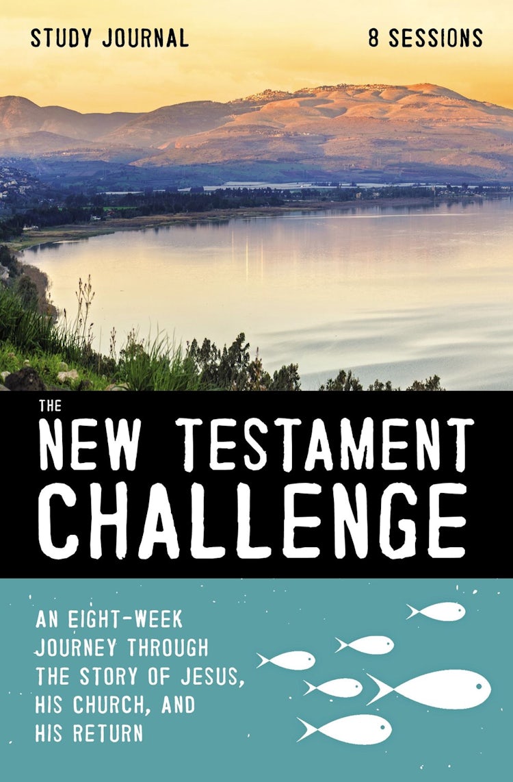 Cover image for The New Testament Challenge Study Journal: An Eight-Week Journey Through The Story Of Jesus, His Church, And His Return, isbn: 9780310125037