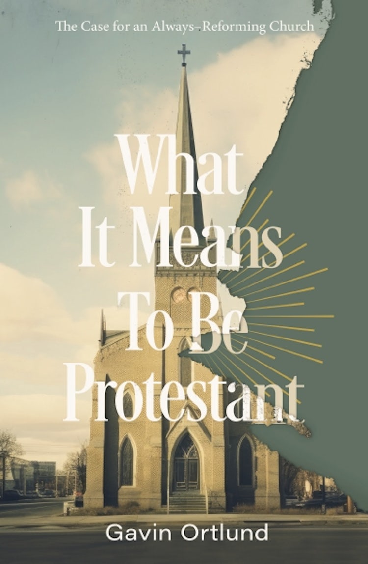 Cover image for What It Means To Be Protestant: The Case For An Always-Reforming Church, isbn: 9780310156321