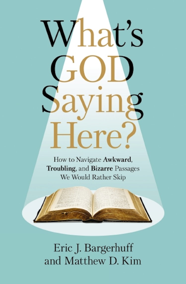 Cover image for What's God Saying Here? How to Navigate Awkward, Troubling and Bizarre Passages We Would Rather Skip, isbn: 9780310159117