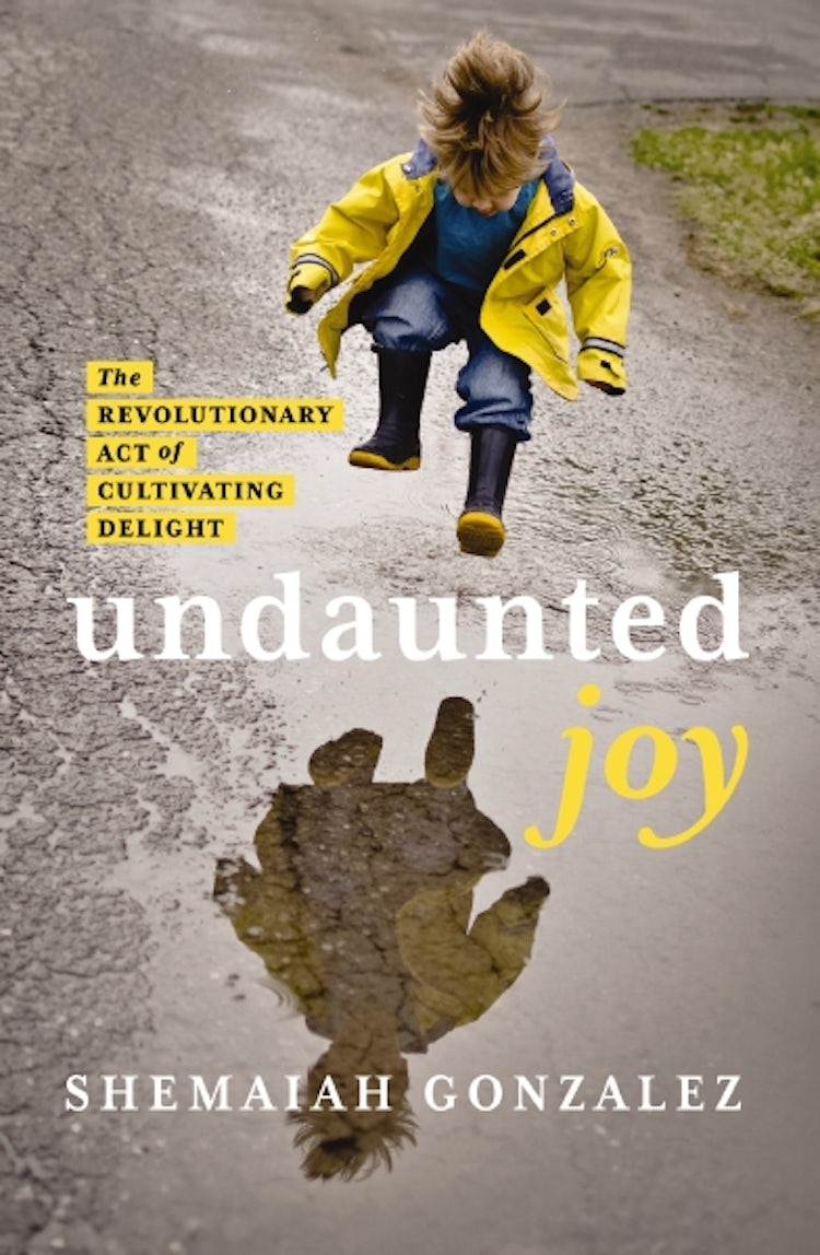 Cover image for Undaunted Joy: The Revolutionary Act of Cultivating Delight, isbn: 9780310163176