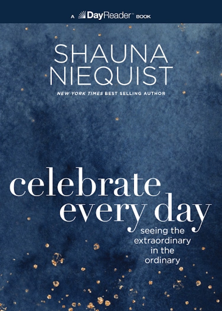 Cover image for Celebrate Every Day: Seeing The Extraordinary In The Ordinary, isbn: 9780310167860