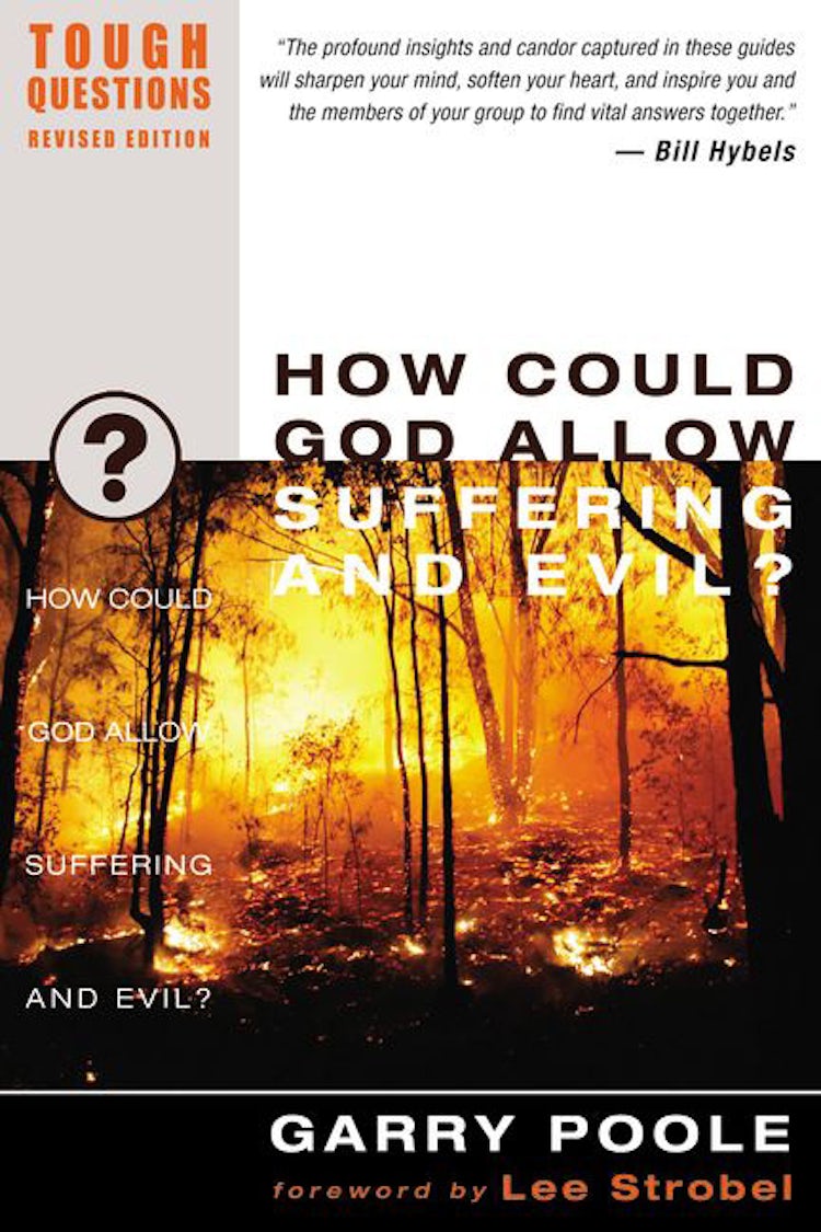 Cover image for How Could God Allow Suffering and Evil?, isbn: 9780310245056
