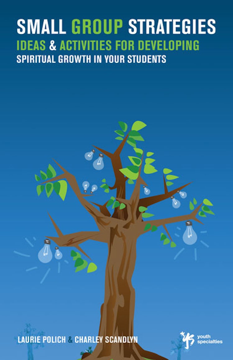 Cover image for Small Group Strategies: Ideas and Activities for Developing Spiritual Growth in Your Students, isbn: 9780310258018