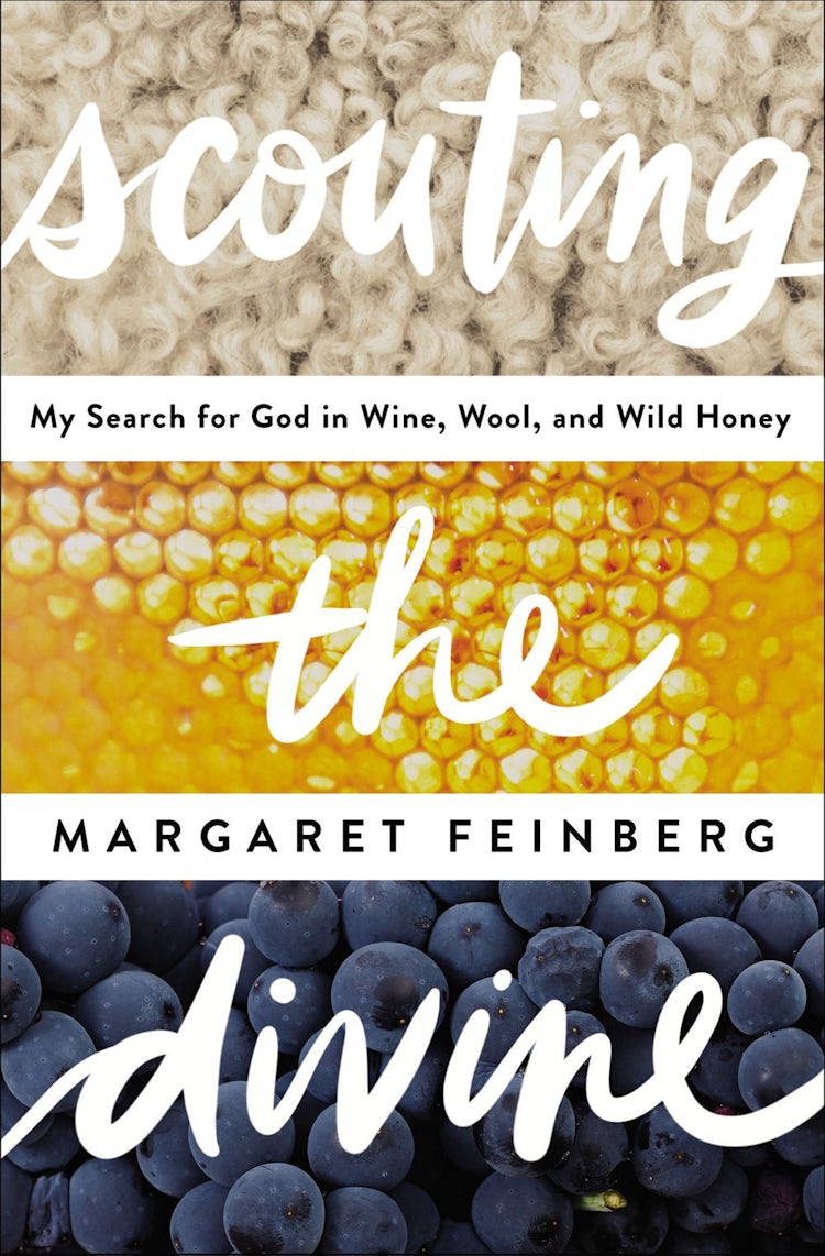 Cover image for Scouting The Divine: My Search For God In Wine, Wool, And Wild Honey, isbn: 9780310331544