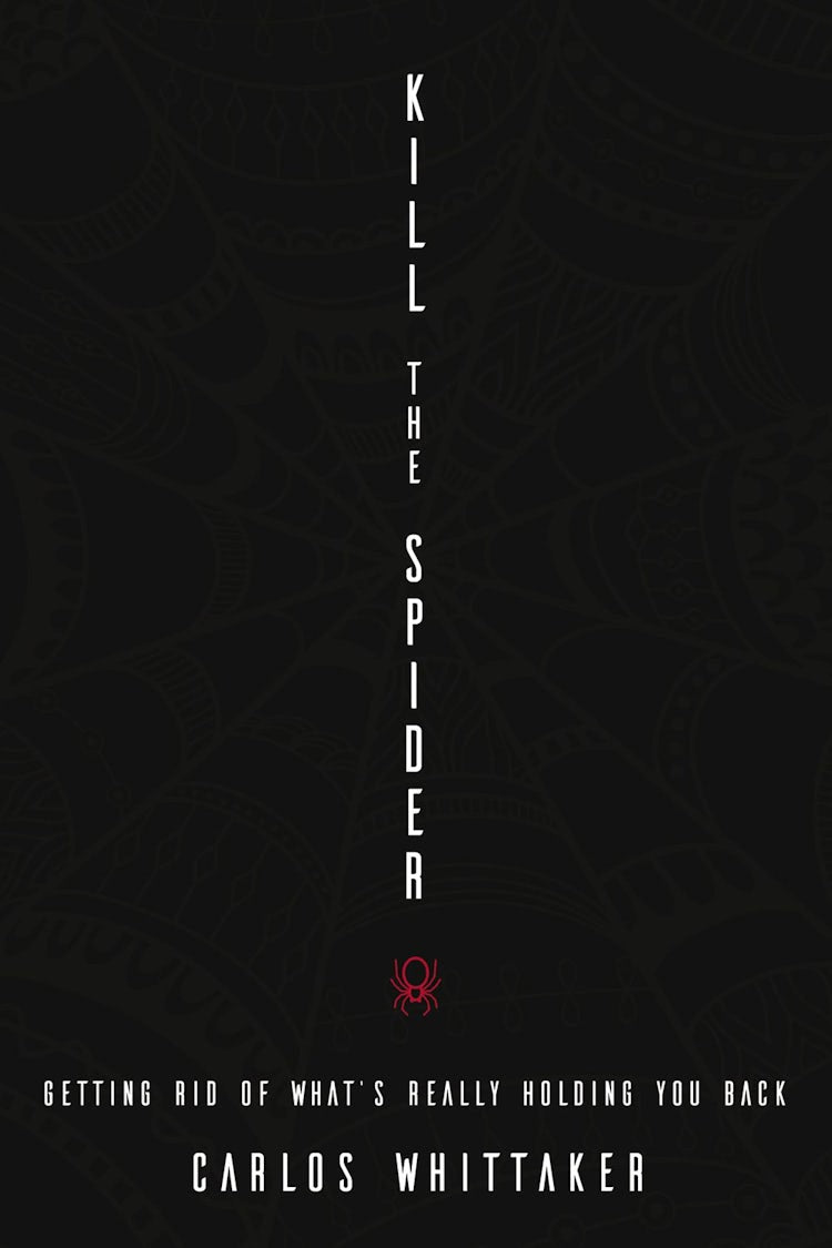 Cover image for Kill The Spider: Getting Rid Of What's Really Holding You Back, isbn: 9780310338000