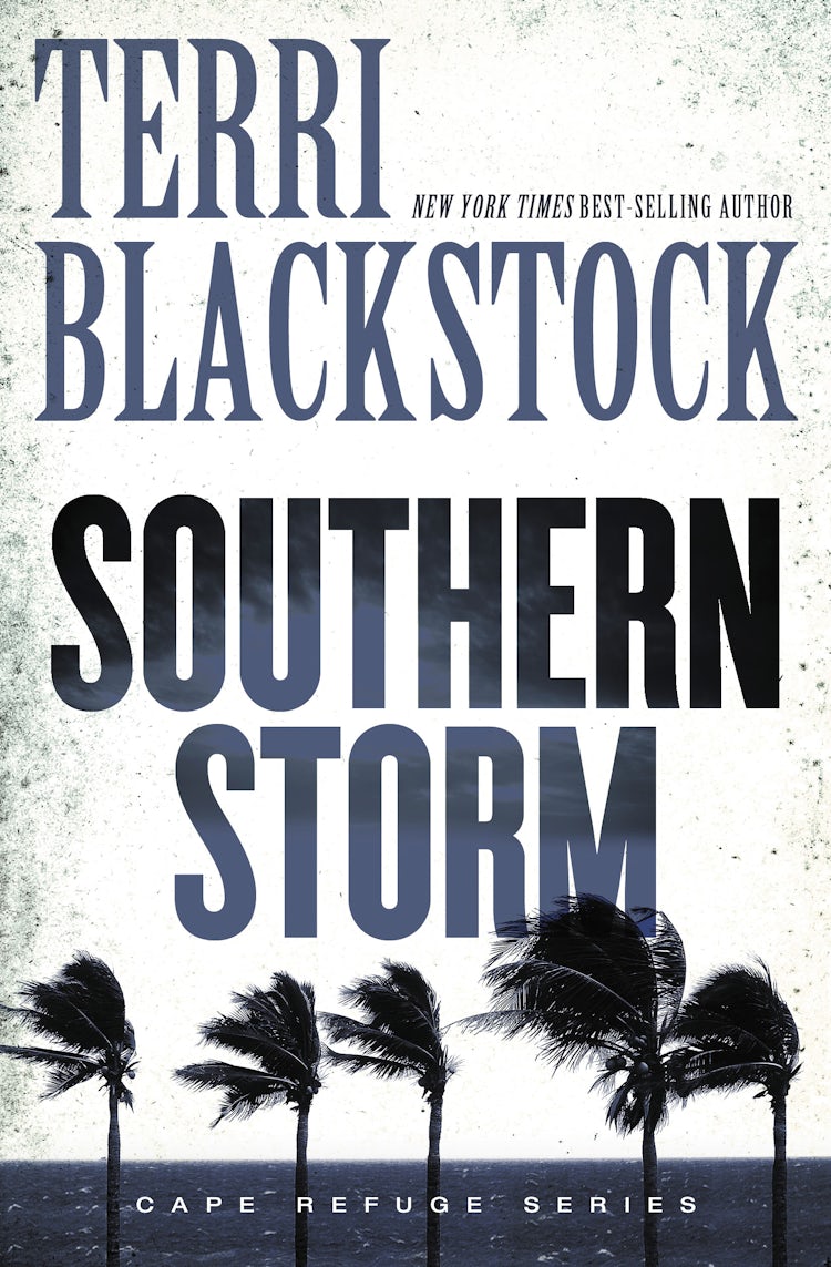 Cover image for Southern Storm, isbn: 9780310342809