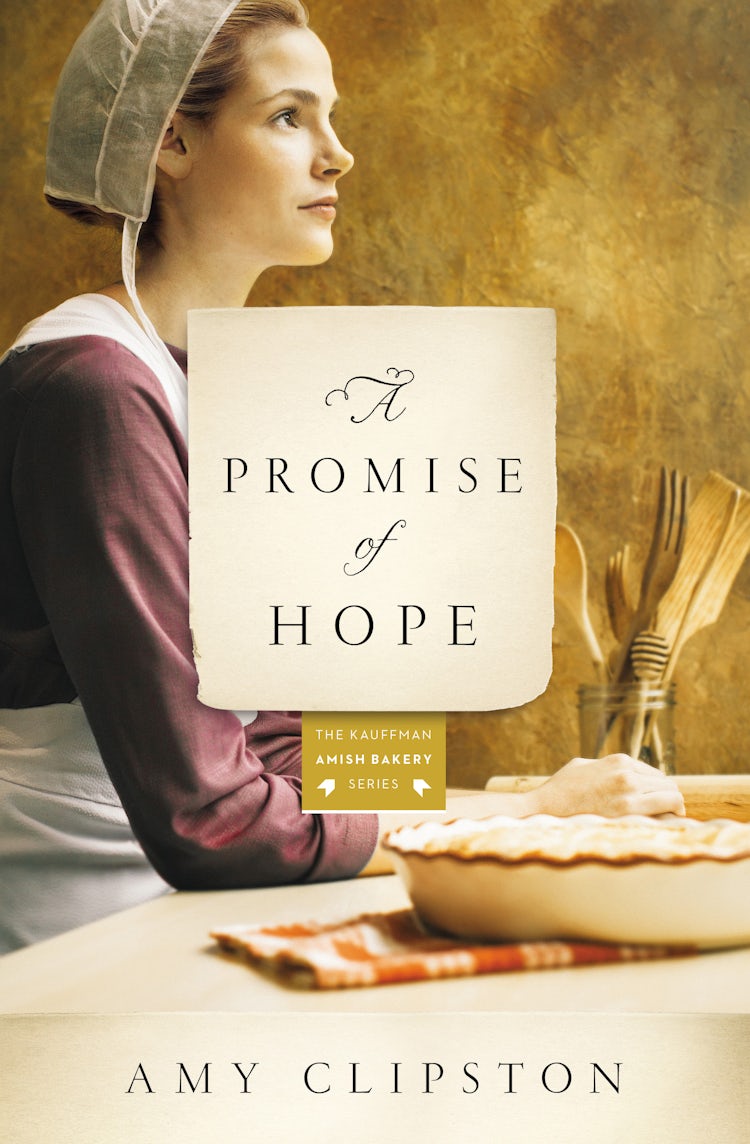 Cover image for Promise of Hope: A Novel, isbn: 9780310344087
