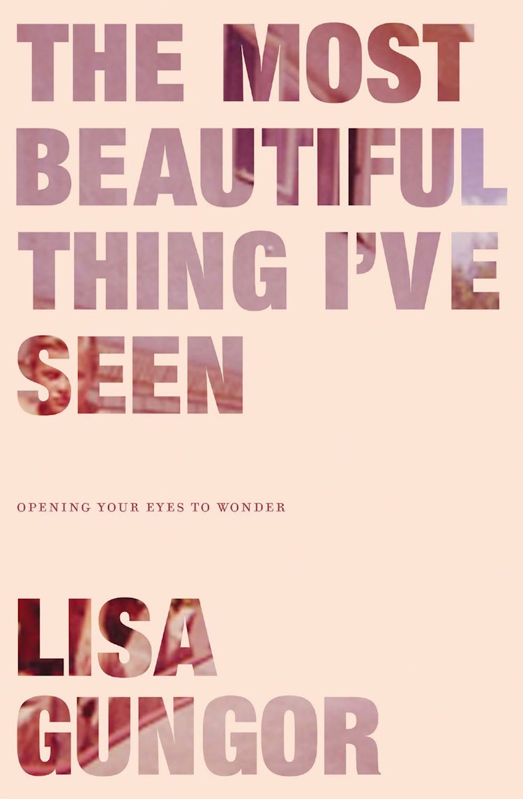 Cover image for The Most Beautiful Thing I've Seen: Opening Your Eyes To Wonder, isbn: 9780310350439