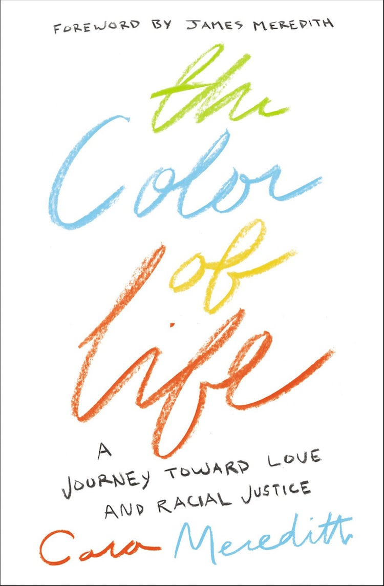 Cover image for The Color Of Life: A Journey Toward Love And Racial Justice, isbn: 9780310351849
