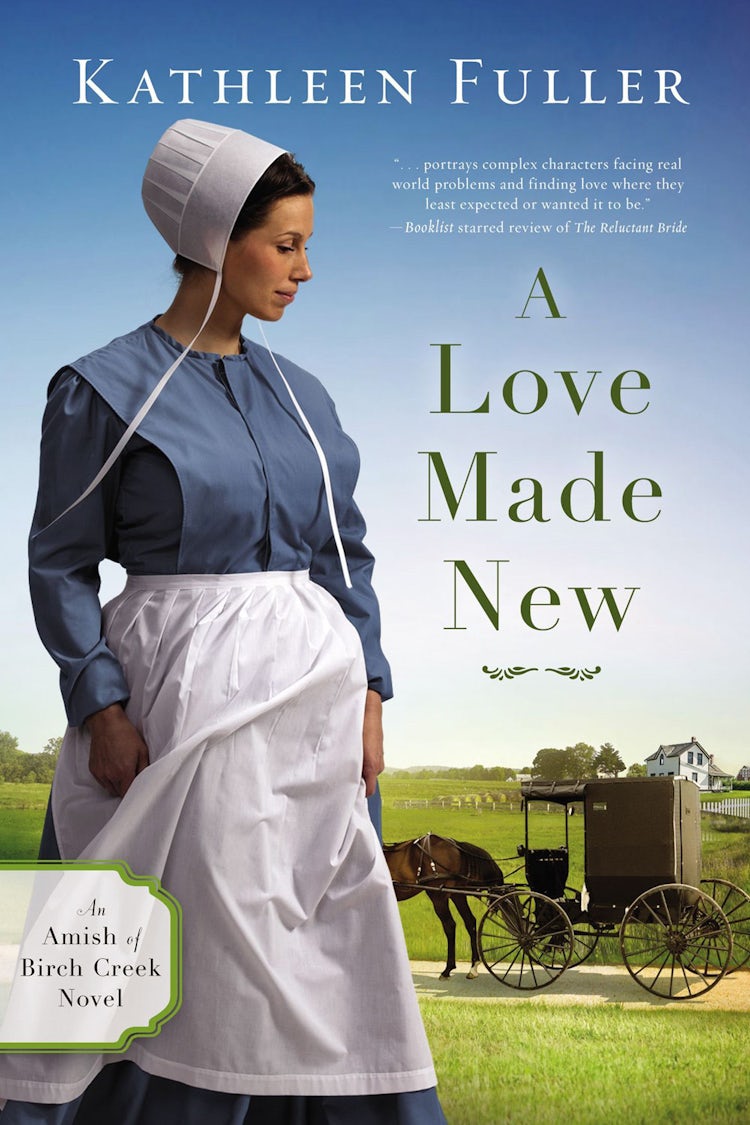 Cover image for A Love Made New, isbn: 9780310353676